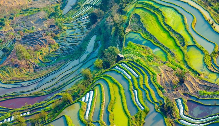 走进澄江县TVC拍摄：解锁本地化场景与创意镜头的完美融合
